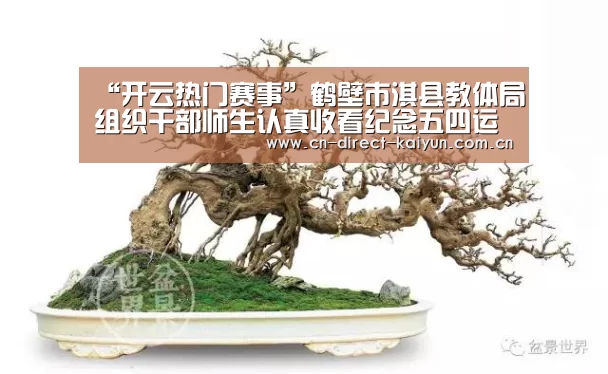 开云比分