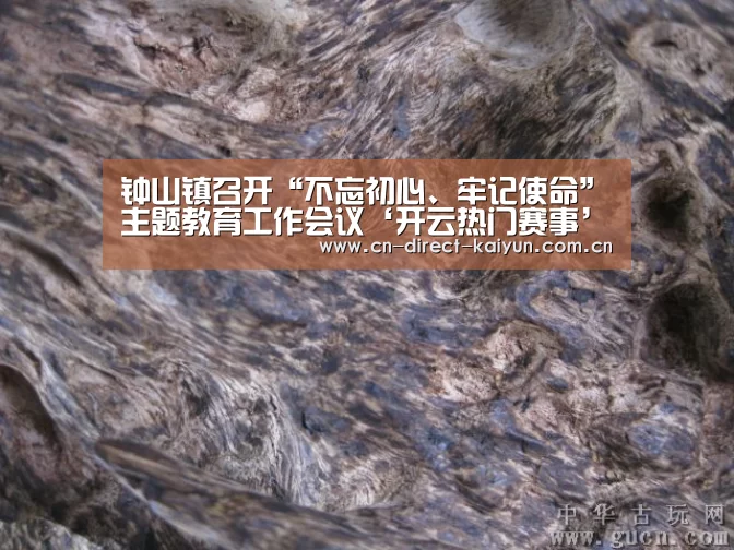 钟山镇召开“不忘初心、牢记使命”主题教育工作会议‘开云热门赛事’