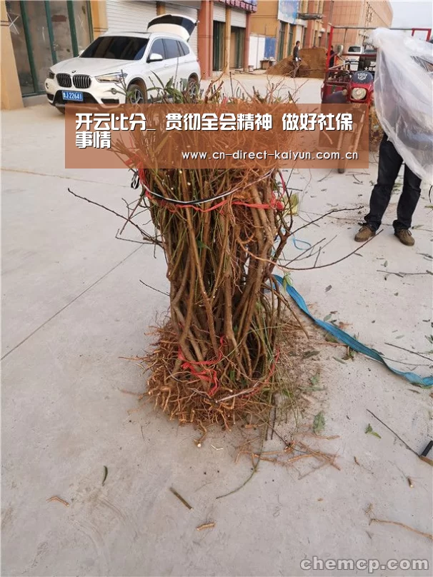 开云比分_
贯彻全会精神 做好社保事情(图4) 开云比分