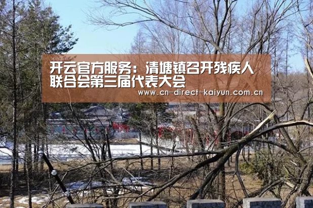 开云官方服务:清塘镇召开残疾人联合会第三届代表大会(图3) 开云比分