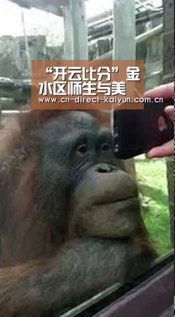 “开云比分”金水区师生与美好有约
